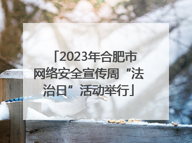 2023年合肥市网络安全宣传周“法治日”活动举行
