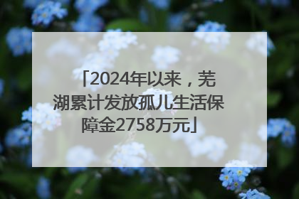 2024年以来，芜湖累计发放孤儿生活保障金2758万元