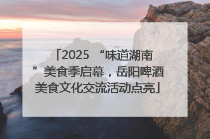 2025 “味道湖南”美食季启幕，岳阳啤酒美食文化交流活动点亮