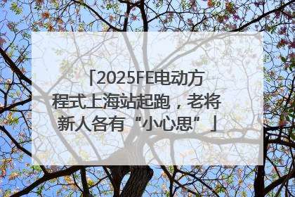 2025FE电动方程式上海站起跑，老将新人各有“小心思”