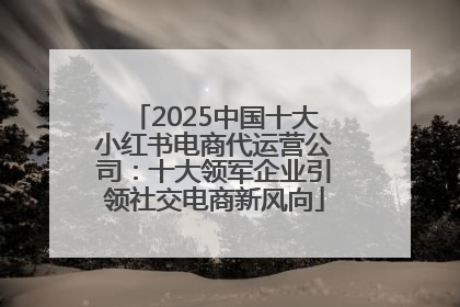 2025中国十大小红书电商代运营公司：十大领军企业引领社交电商新风向
