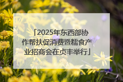 2025年东西部协作帮扶促消费暨糯食产业招商会在贞丰举行