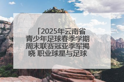 2025年云南省青少年足球春季学期周末联赛冠亚季军揭晓 职业球星与足球小将共享荣耀时刻