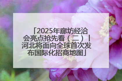 2025年廊坊经洽会亮点抢先看（二）丨河北将面向全球首次发布国际化招商地图