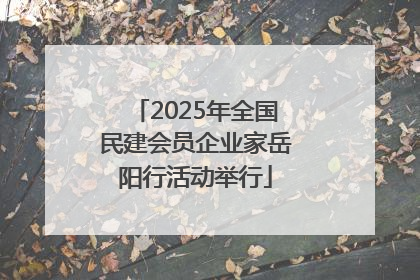 2025年全国民建会员企业家岳阳行活动举行