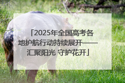 2025年全国高考各地护航行动持续展开——汇聚阳光 守护花开