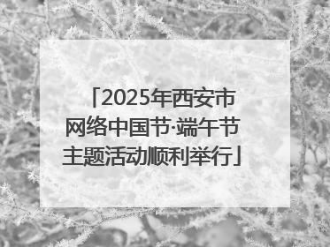 2025年西安市网络中国节·端午节主题活动顺利举行