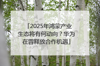 2025年鸿蒙产业生态将有何动向？华为在蓉释放合作机遇