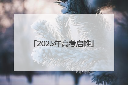 2025年高考启帷
