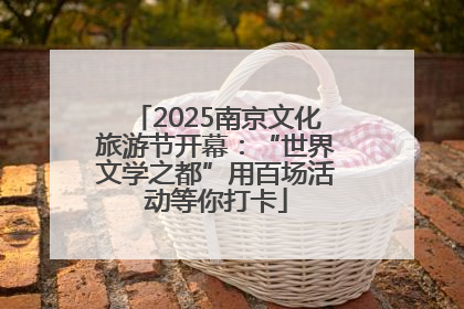 2025南京文化旅游节开幕：“世界文学之都”用百场活动等你打卡