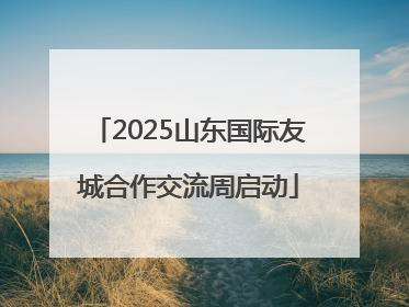 2025山东国际友城合作交流周启动
