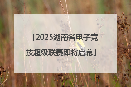 2025湖南省电子竞技超级联赛即将启幕
