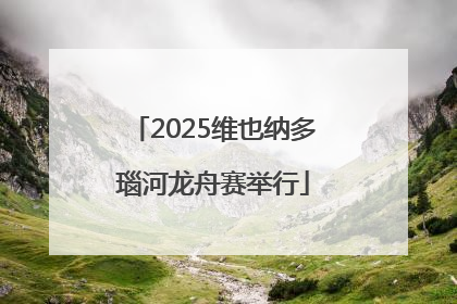 2025维也纳多瑙河龙舟赛举行