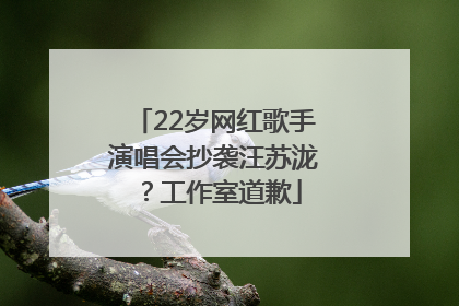 22岁网红歌手演唱会抄袭汪苏泷？工作室道歉