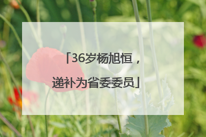 36岁杨旭恒，递补为省委委员