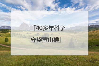 40多年科学守望黄山猴