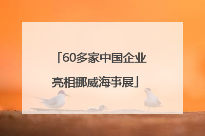 60多家中国企业亮相挪威海事展