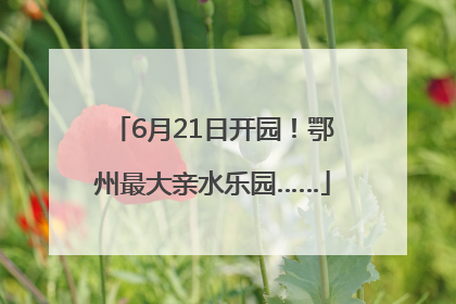 6月21日开园！鄂州最大亲水乐园……