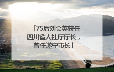 75后刘会英获任四川省人社厅厅长，曾任遂宁市长