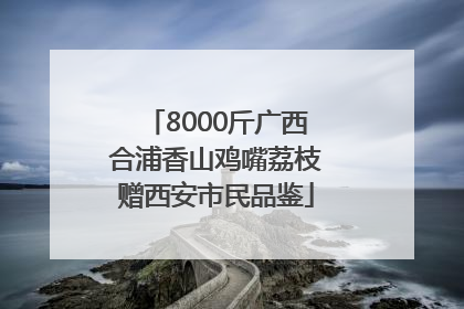 8000斤广西合浦香山鸡嘴荔枝赠西安市民品鉴
