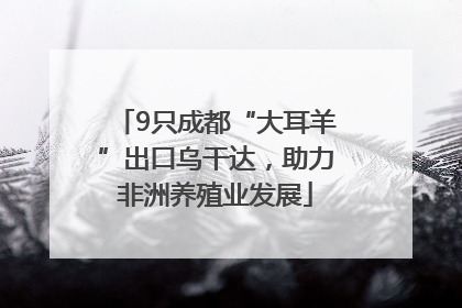 9只成都“大耳羊”出口乌干达，助力非洲养殖业发展