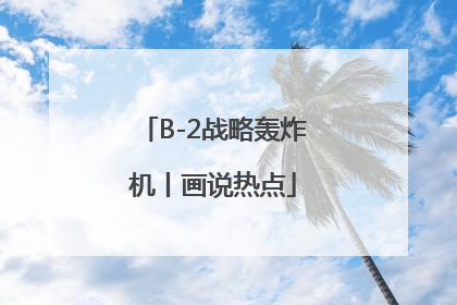 B-2战略轰炸机丨画说热点