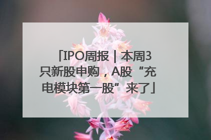 IPO周报｜本周3只新股申购，A股“充电模块第一股”来了