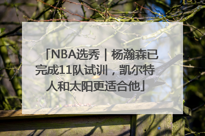 NBA选秀｜杨瀚森已完成11队试训，凯尔特人和太阳更适合他
