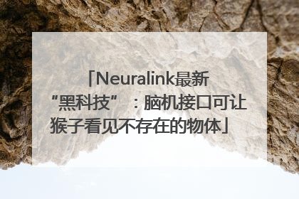 Neuralink最新“黑科技”：脑机接口可让猴子看见不存在的物体