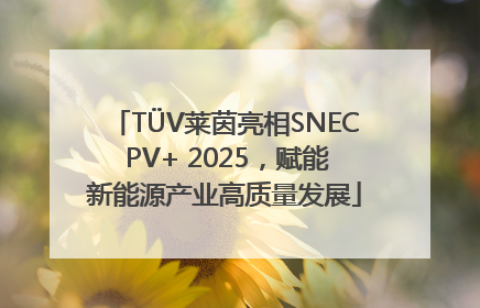 TÜV莱茵亮相SNEC PV+ 2025，赋能新能源产业高质量发展