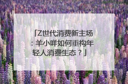 Z世代消费新主场：羊小咩如何重构年轻人消费生态？